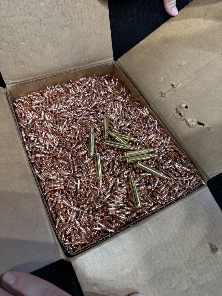 SIGWO 30RD 5.56x45 55GR