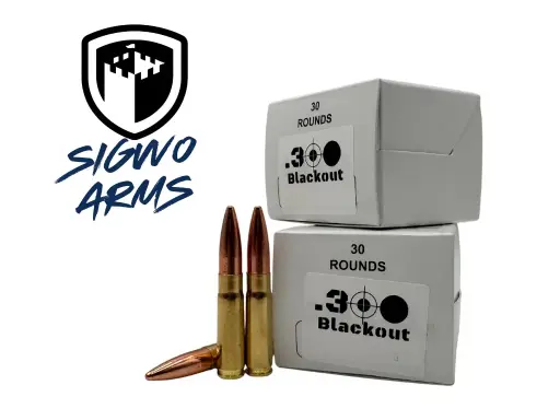 Sigwo Arms GOJIRA .300BLK 220gr Subsonic